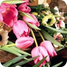  Spring Flowers Air Freshener | My Air Freshener